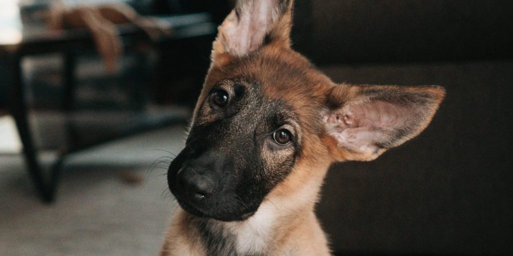 dex-ezekiel-fg8tdcxrkrA-unsplash