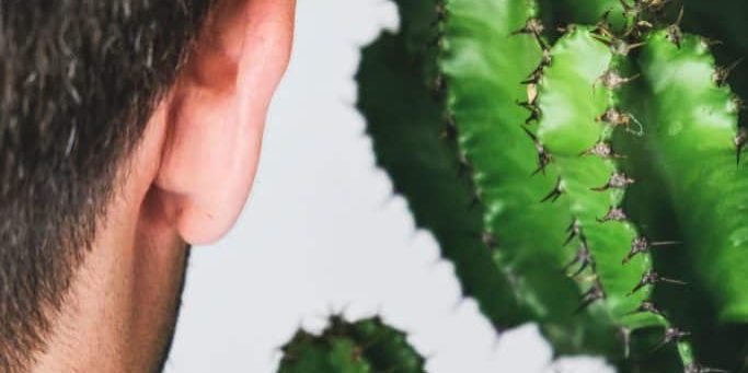 severin-candrian-RU-Uiz7cWos-unsplash severin-candrian-RU-Uiz7cWos-unsplash